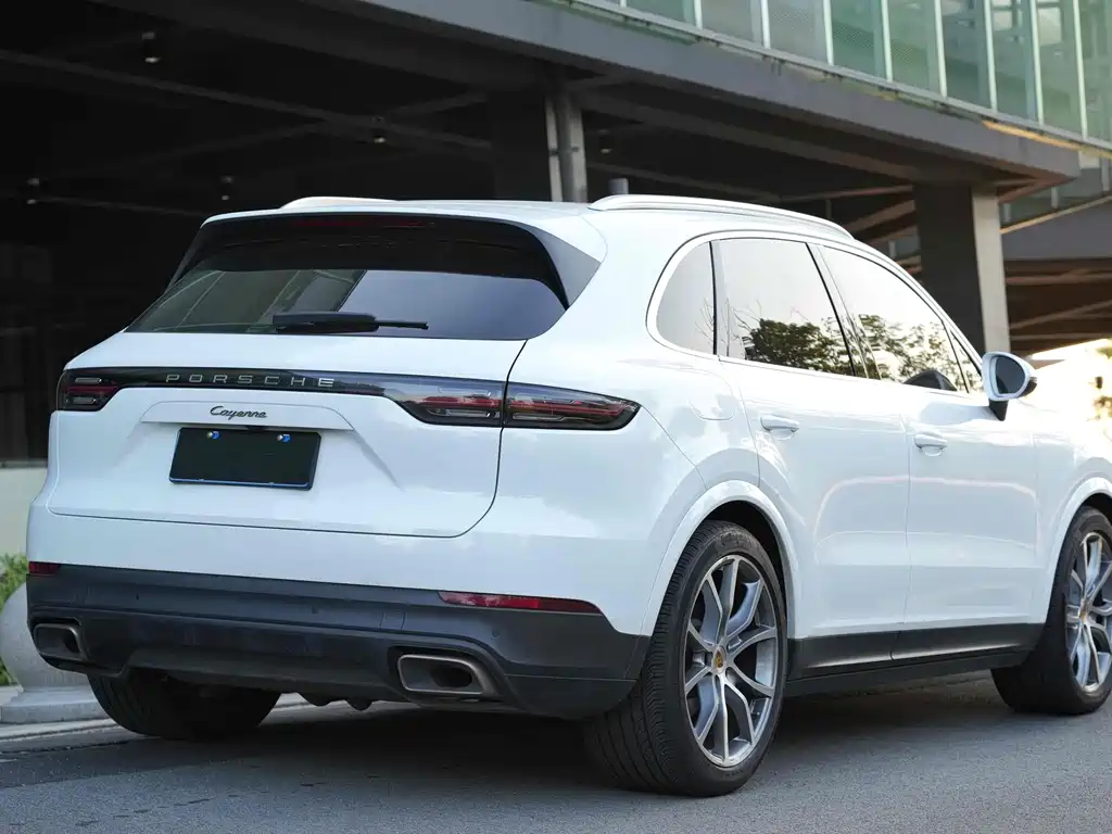 Porsche Cayenne 2022 — фото 10