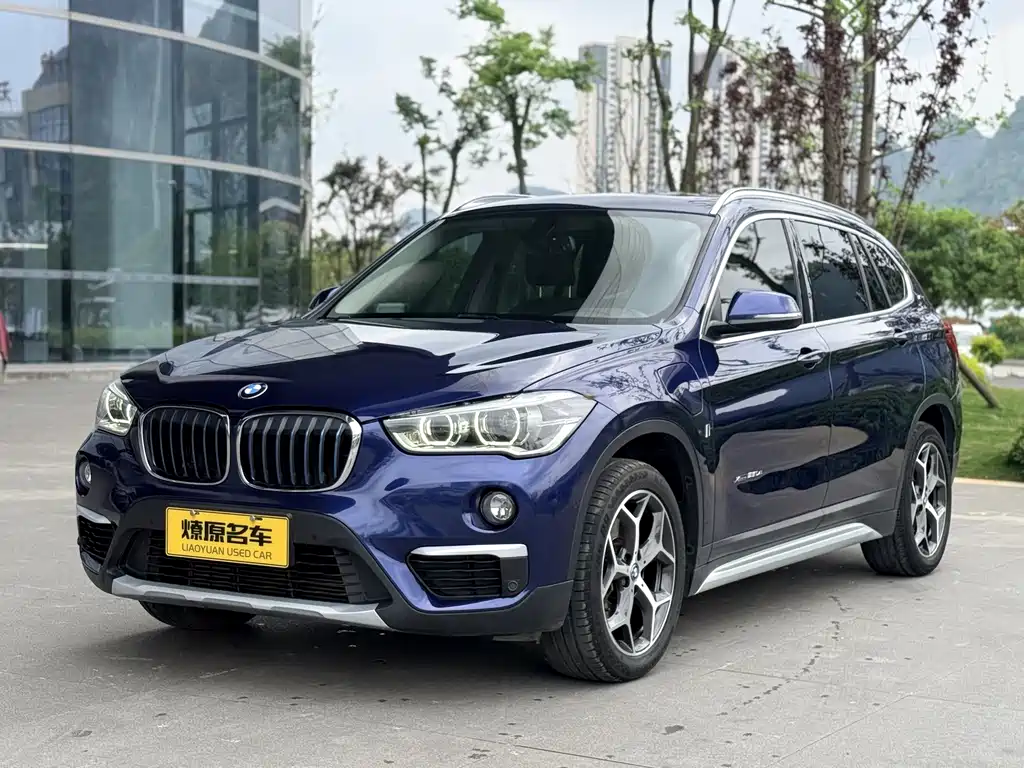 BMW X1 New Energy 2018
