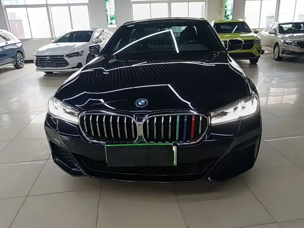 BMW 5 Series New Energy 2023