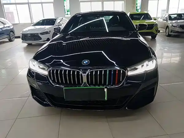 BMW 5 Series New Energy 2023