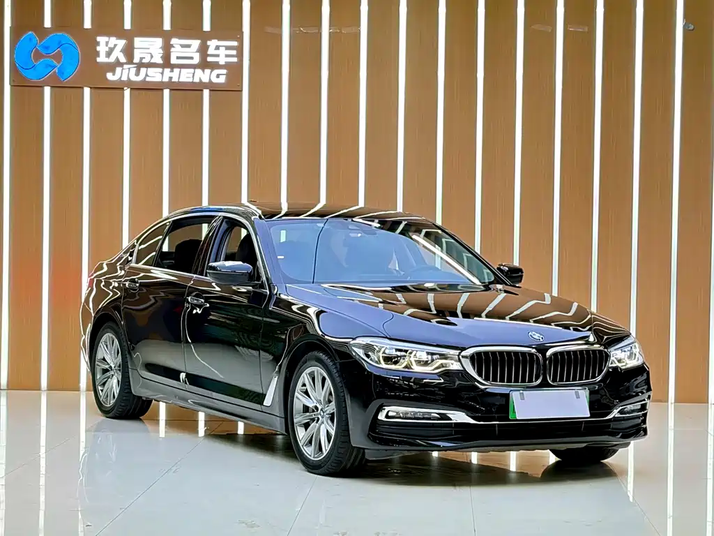 BMW 5 Series New Energy 2018
