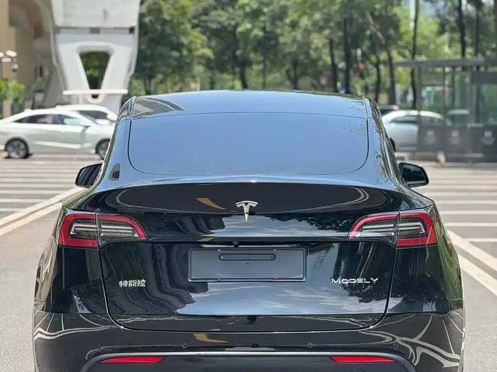 Tesla Model Y 2023 — фото 9