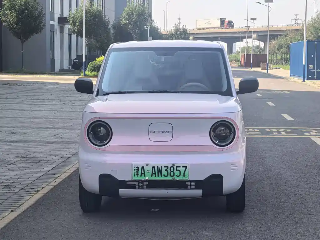 Geely Galaxy Panda 2024