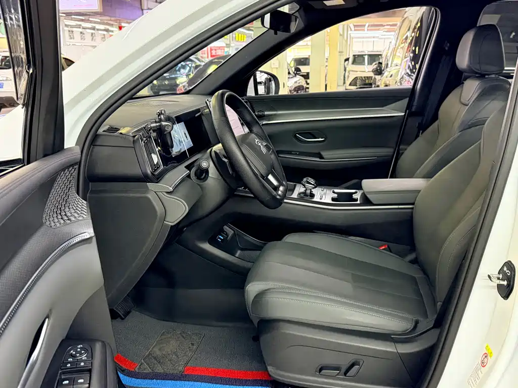 BYD Song Pro New Energy 2025 — фото 7