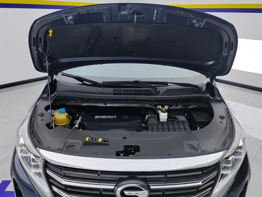 GAC Trumpchi M8 2022 — фото 10