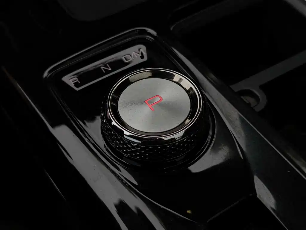 Haval Big Dog 2021 — фото 17