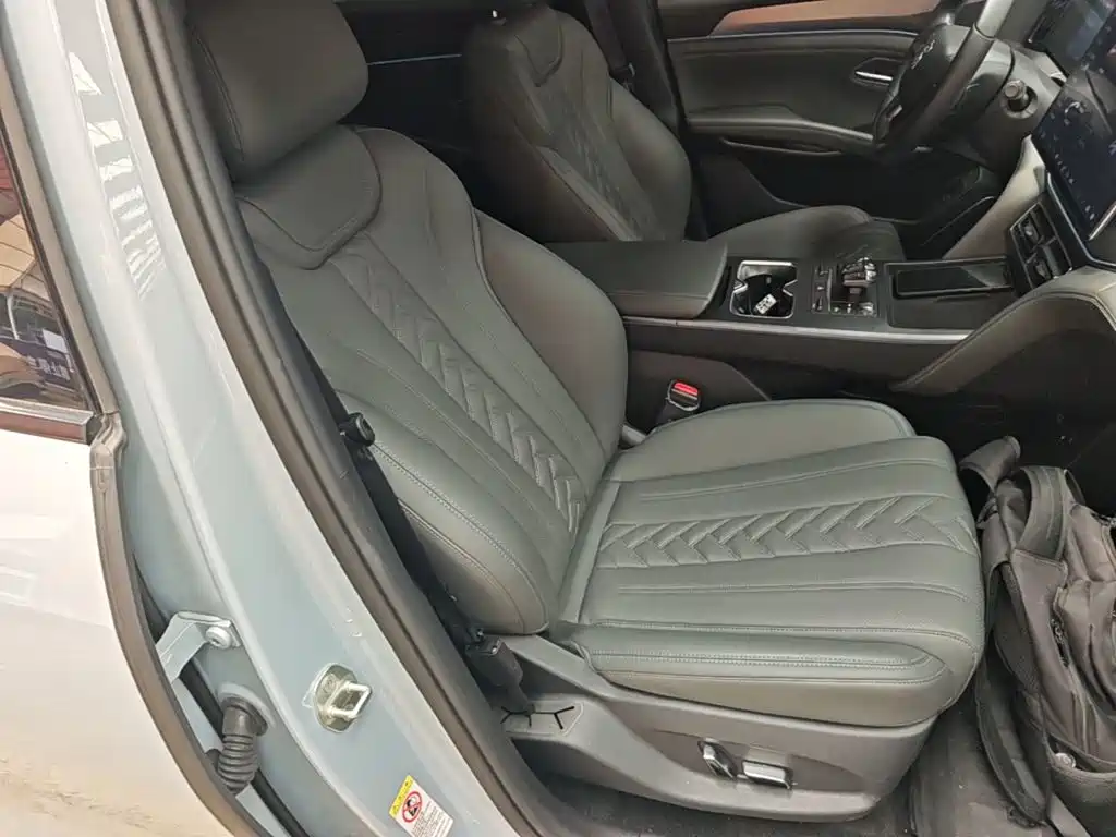 BYD Song L DM-i 2025 — фото 25