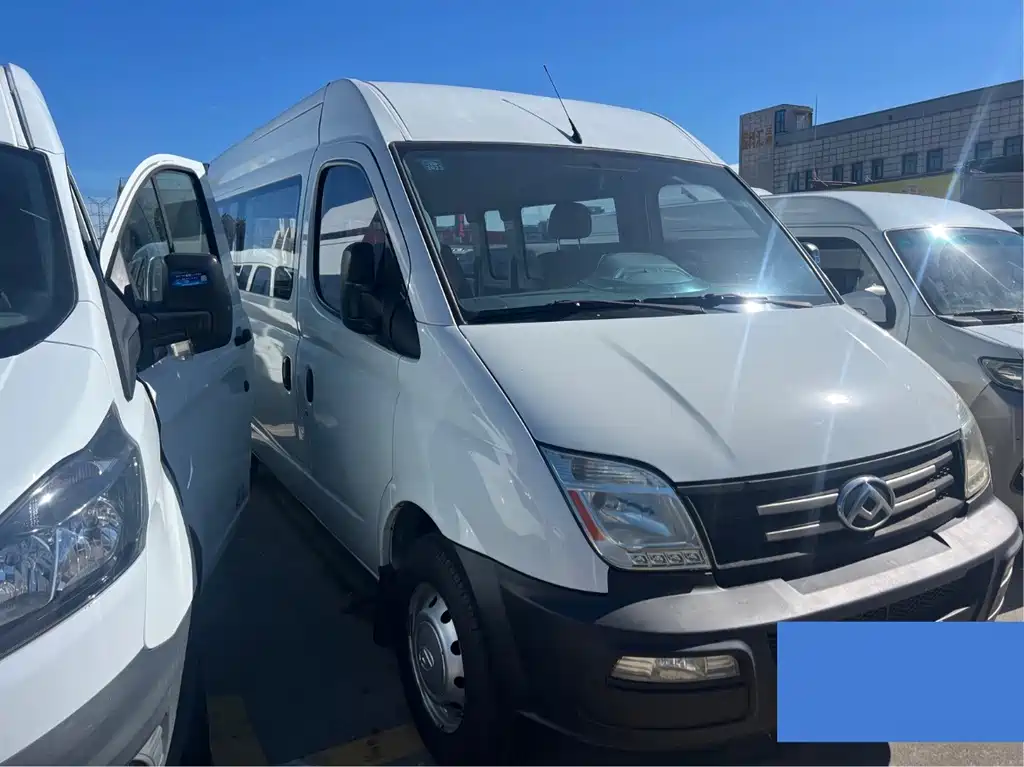 Maxus V80 2020