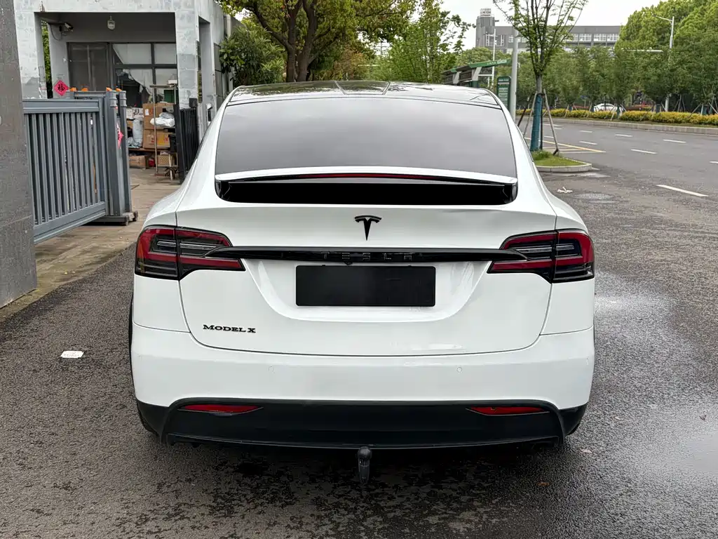 Tesla Model X 2018 — фото 9