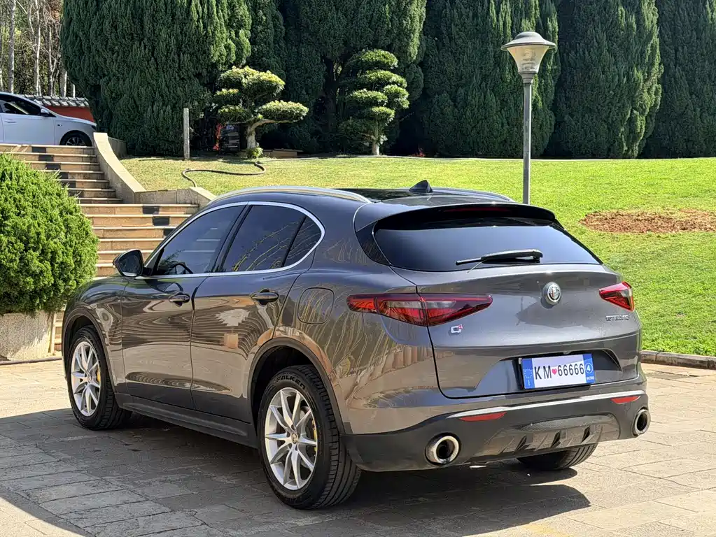 Alfa Romeo Stelvio 2020 — фото 10