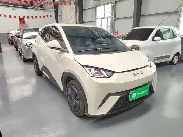 BYD Seagull 2024