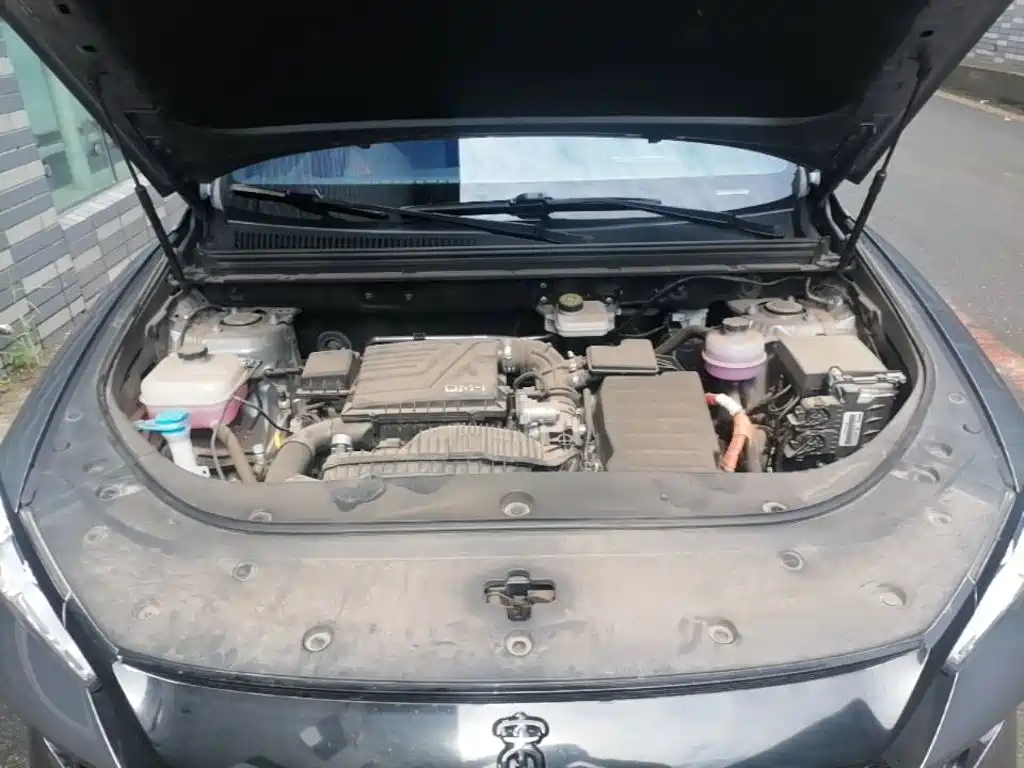 BYD Song Pro New Energy 2024 — фото 20