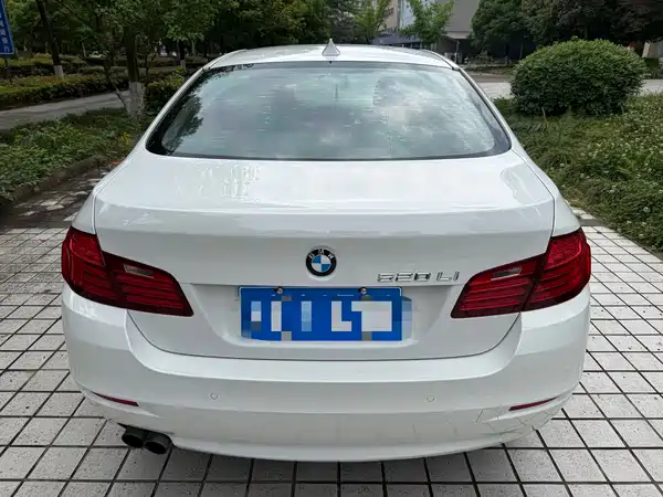 BMW 5 Series 2014