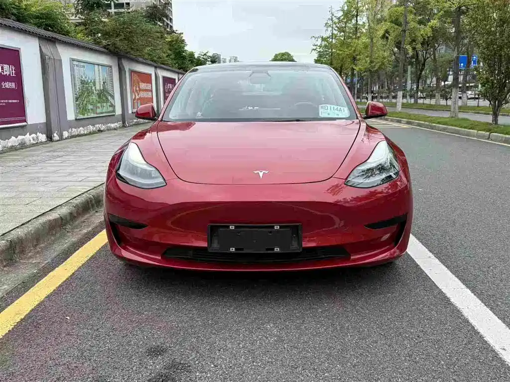 Tesla Model 3 2021 — фото 2