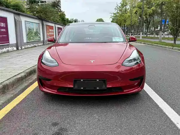 Tesla Model 3 2021