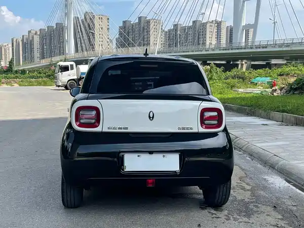Ora Black Cat 2022