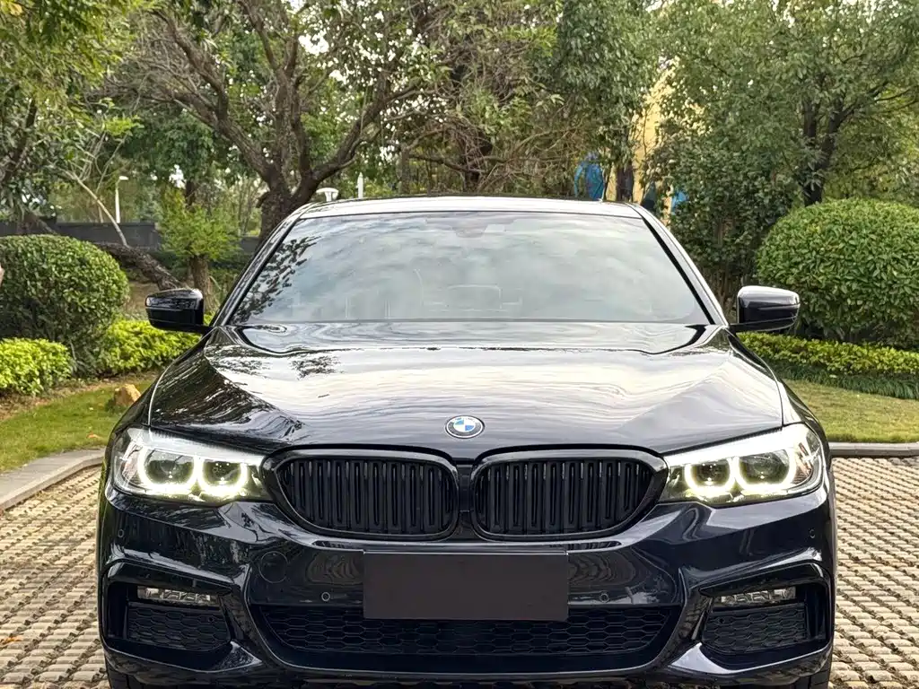 BMW 5 Series 2019 — фото 1