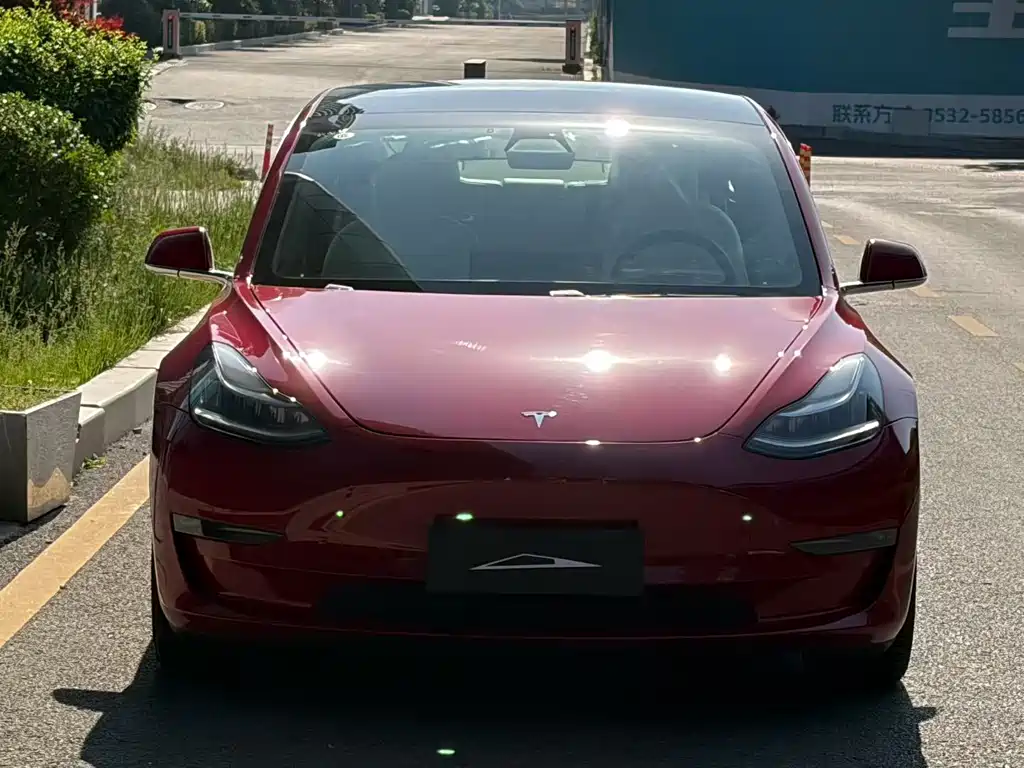 Tesla Model 3 2020 — фото 2