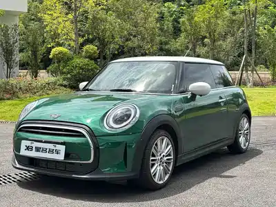 MINI MINI 2021