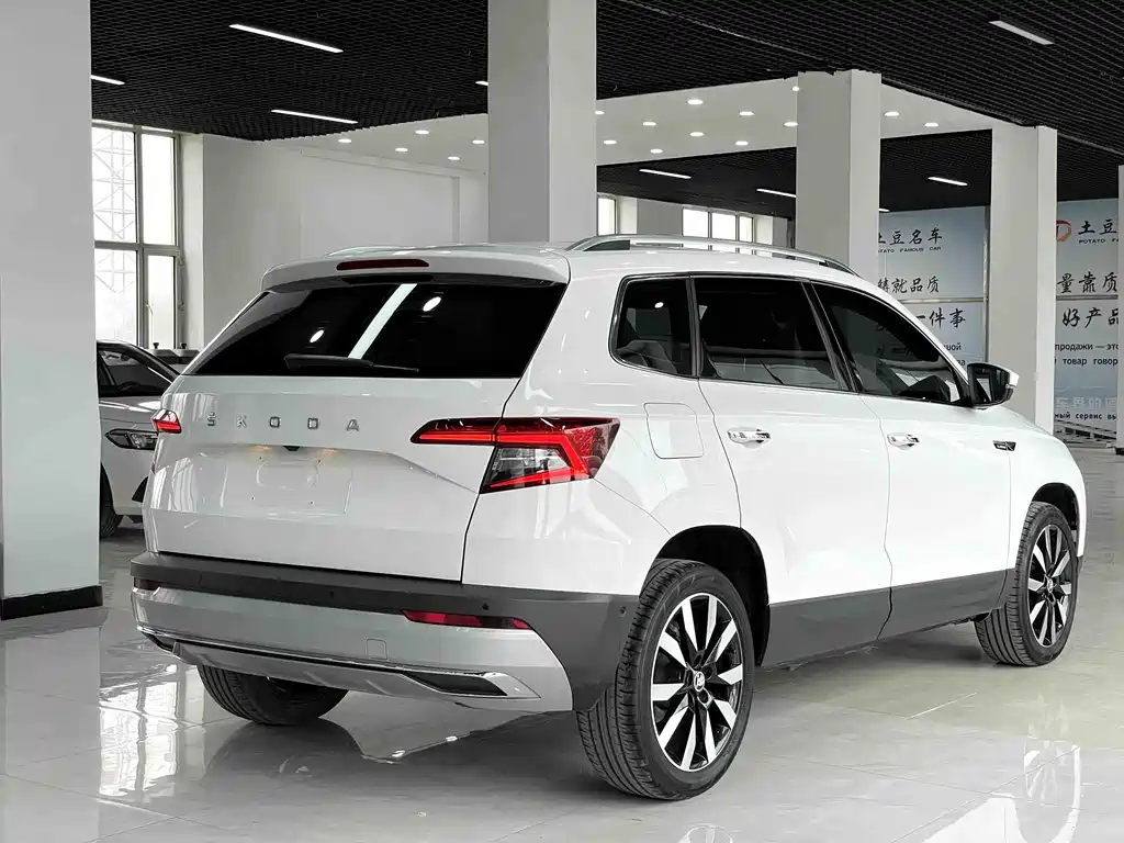 Skoda Karoq 2021 — фото 18