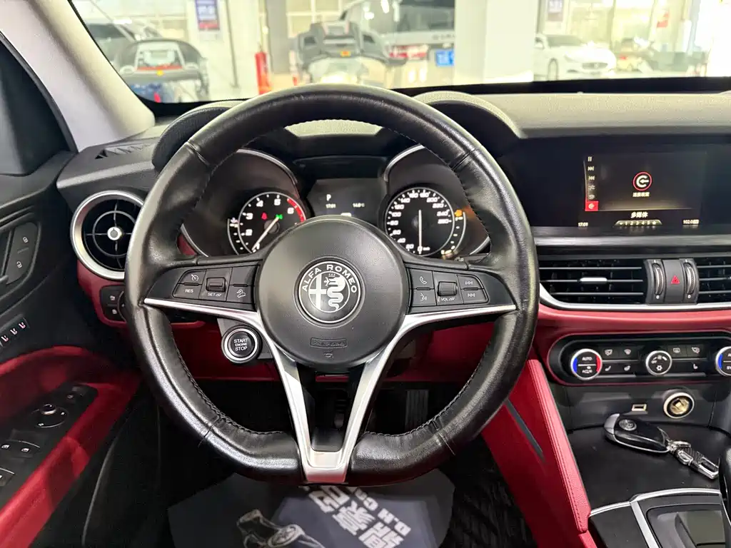 Alfa Romeo Stelvio 2019 — фото 13