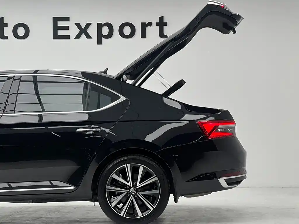Skoda Speedy 2024 — фото 10