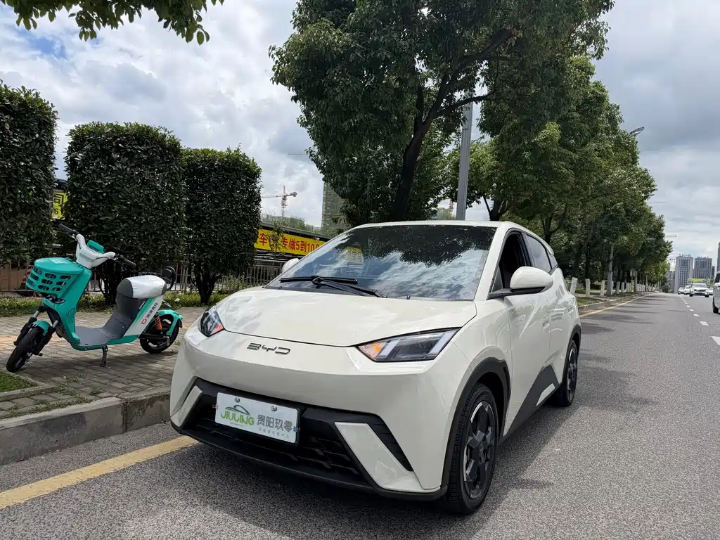 BYD Seagull 2024