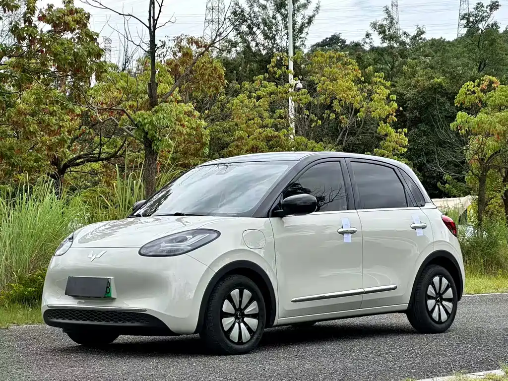 Wuling Bingo 2023