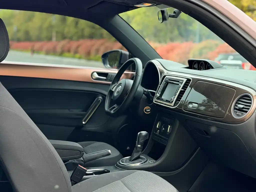 Volkswagen Beetle 2014