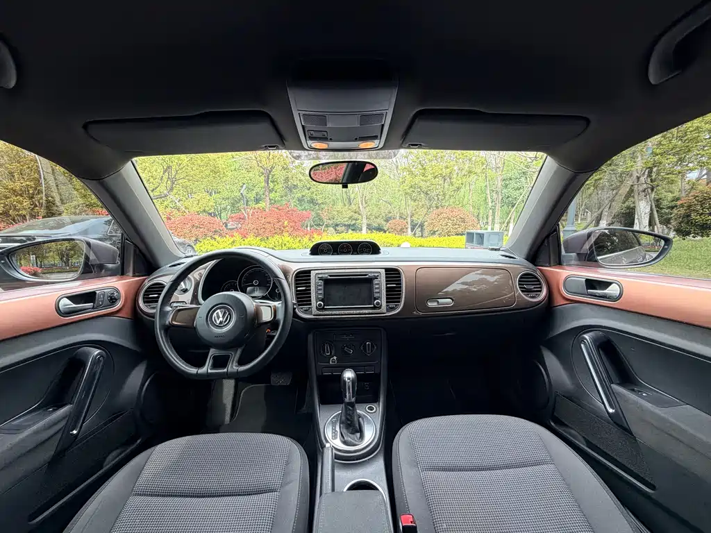 Volkswagen Beetle 2014