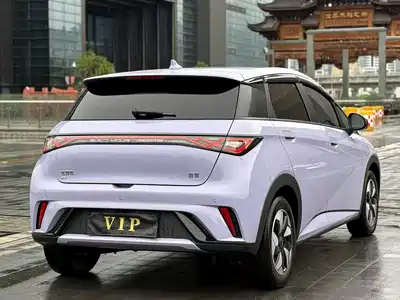 BYD Dolphin 2024