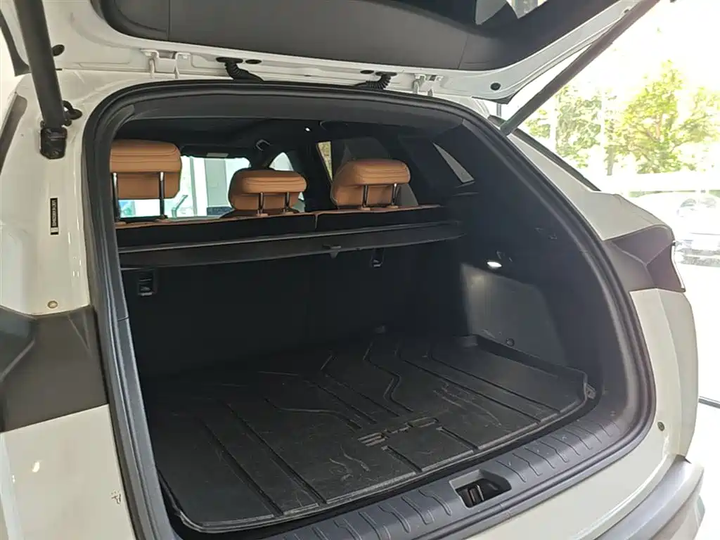 BYD L DM-i 2024 — фото 19