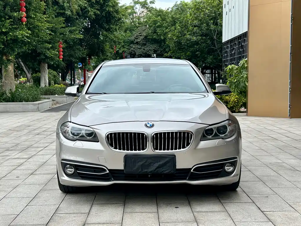 BMW 5 Series 2014