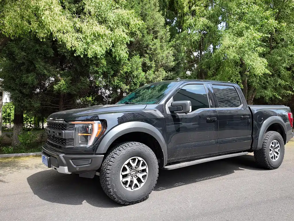 Ford F-150 Raptor 2024 — фото 4