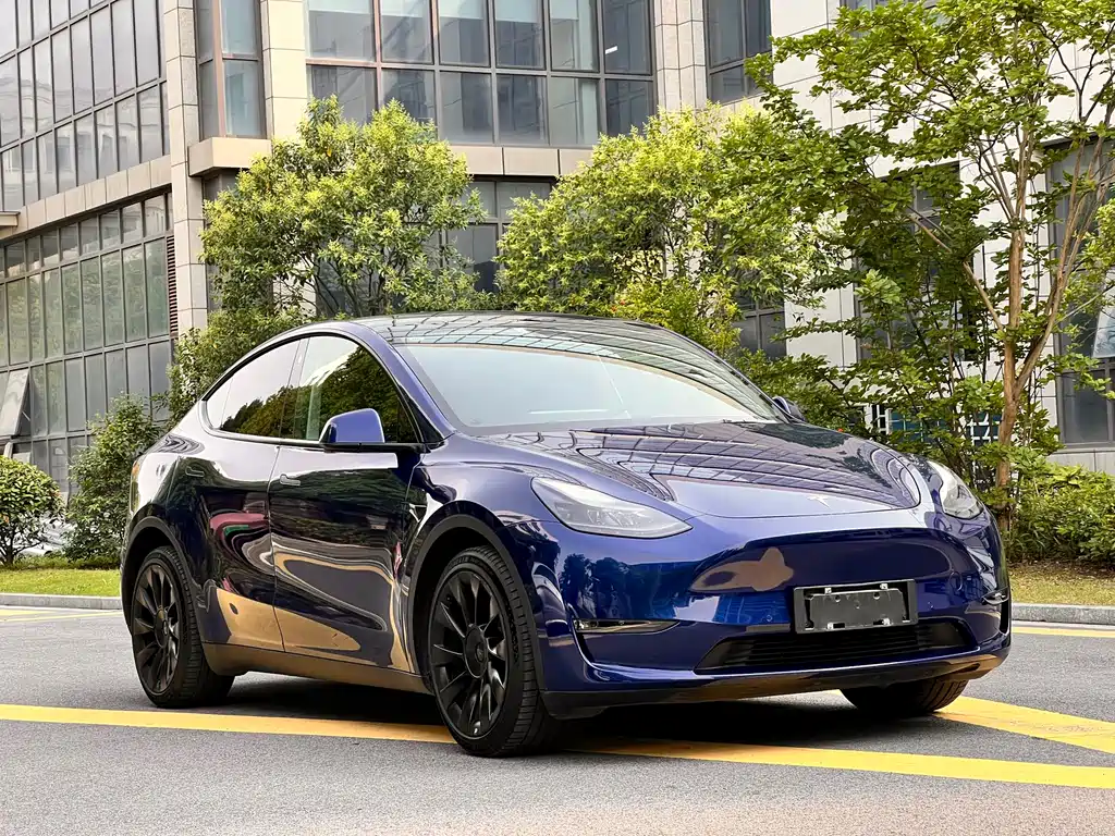 Tesla Model Y 2021 — фото 3