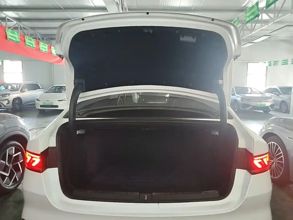 BYD Qin PLUS 2024 — фото 19