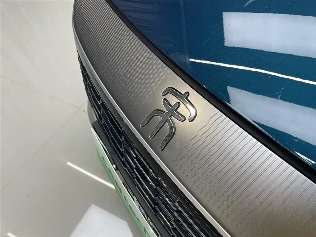 BYD L DM-i 2024 — фото 6
