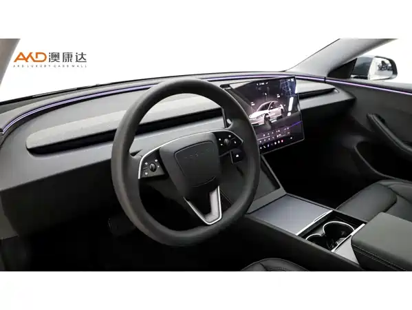 Tesla Model 3 2025