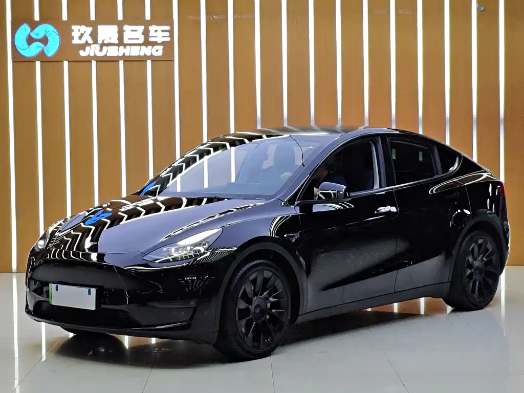Tesla Model Y 2021