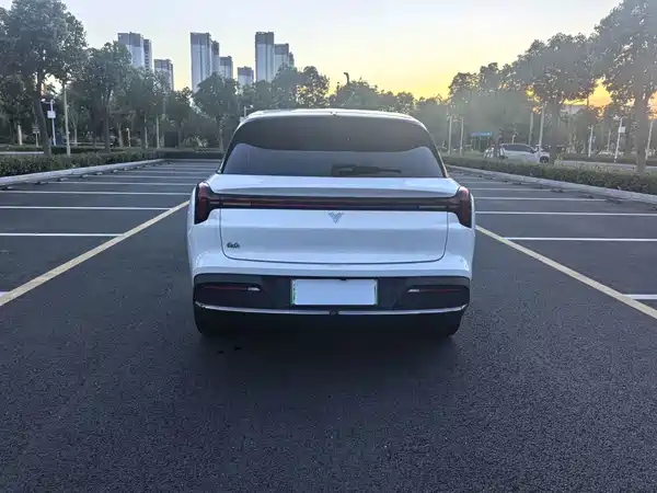 Neta L 2024