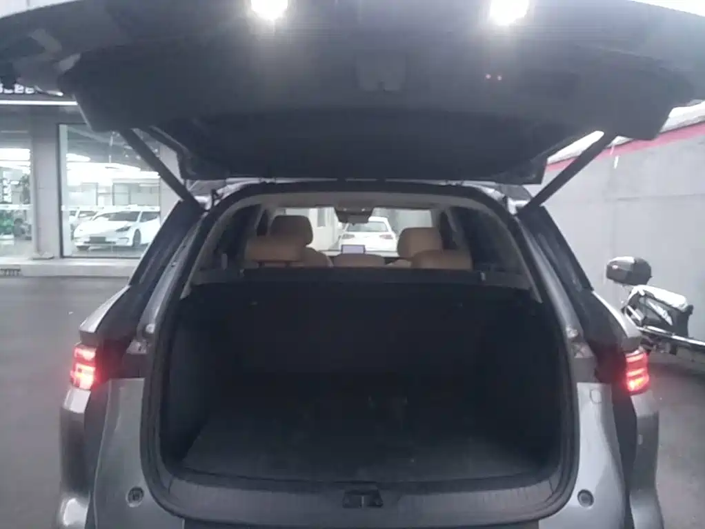 BYD Song Pro New Energy 2025 — фото 19