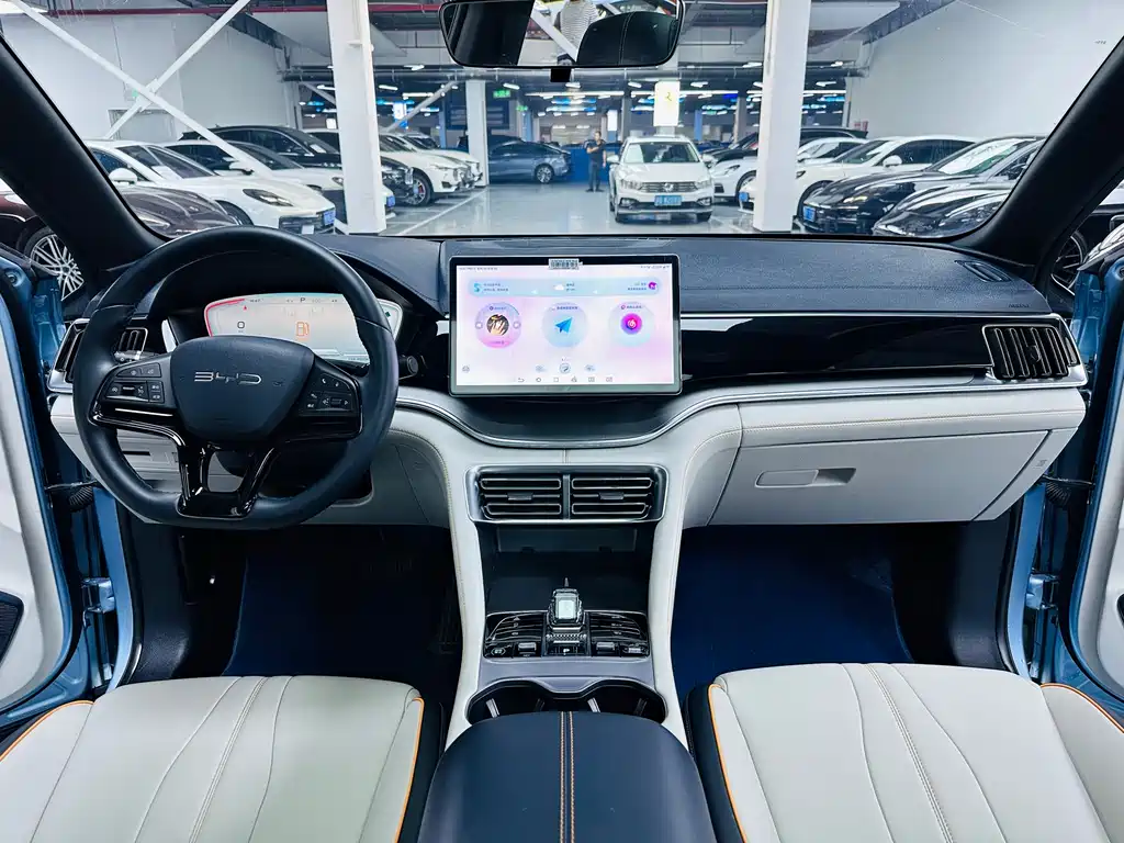 BYD PLUS New Energy 2024 — фото 6