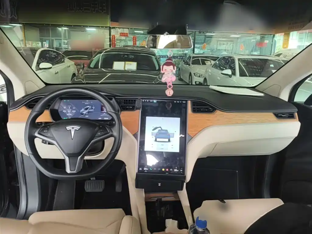 Tesla Model X 2019 — фото 10