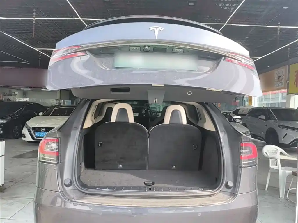 Tesla Model X 2019 — фото 19