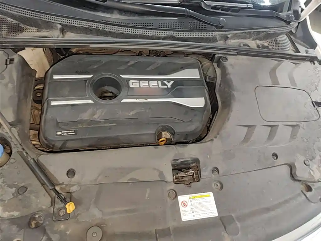 Geely Emgrand GS 2019 — фото 20