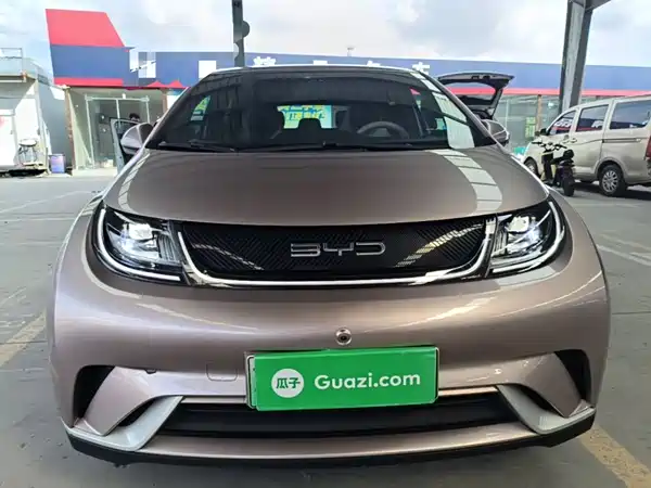 BYD Dolphin 2022
