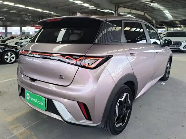 BYD Dolphin 2022