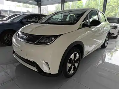 BYD Dolphin 2026