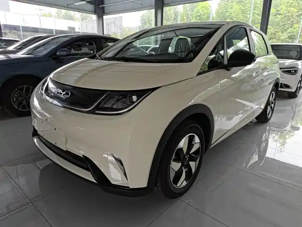 BYD Dolphin 2026