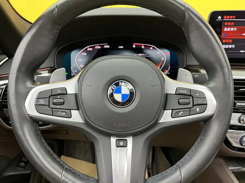 BMW 5 Series 2019 — фото 18